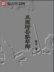 三国野兽派军师封面