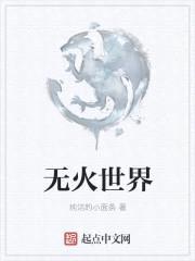 无火世界封面