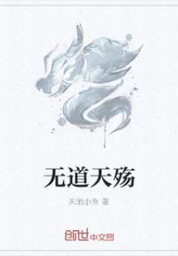 无道天殇封面