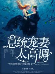 总统宠妻太高调封面