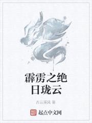 霹雳之绝日珑云封面