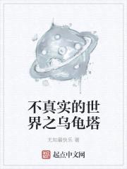 不真实的世界之乌龟塔封面