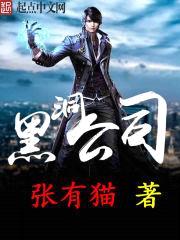 黑洞公司封面