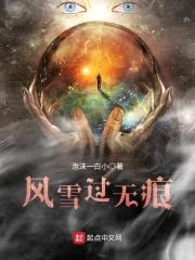 风雪过无痕封面
