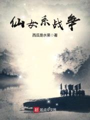 仙女系战争封面