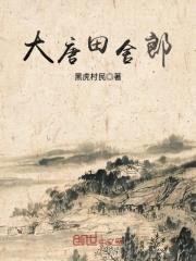大唐田舍郎封面