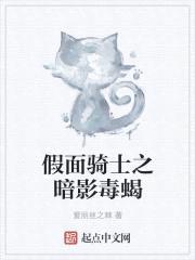 假面骑士之暗影毒蝎封面