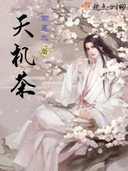 天机茶封面