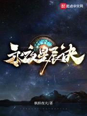 永夜星辰诀封面