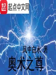 奥术之尊封面