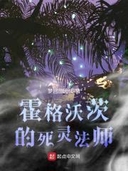 霍格沃茨的死灵法师封面