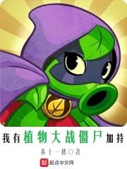 我有植物大战僵尸加持封面
