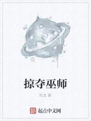 掠夺巫师封面