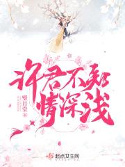 许君不知情深浅封面