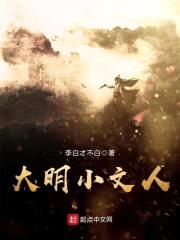 大明小文人封面