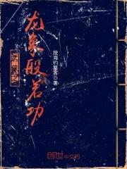 武侠之龙象般若功封面