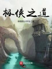 极侠之道封面