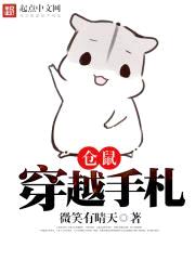 仓鼠穿越手札封面