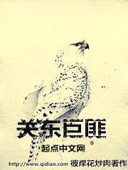 关东巨匪封面