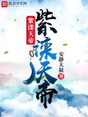 紫滦天帝封面