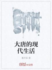 大唐的现代生活封面