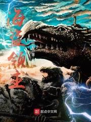 海盗领主封面