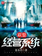 联盟经营系统封面