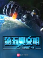 第五类文明封面