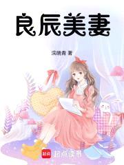 良辰美妻封面