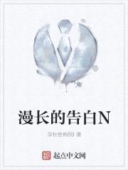 漫长的告白N封面