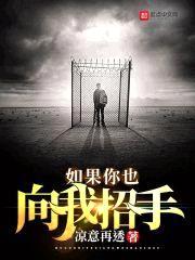 如果你也向我招手封面