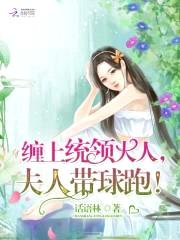 缠上统领大人，夫人带球跑！封面