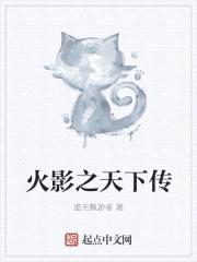 火影之天下传封面