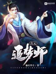 次元追梦师封面