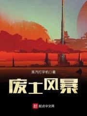 废土风暴封面