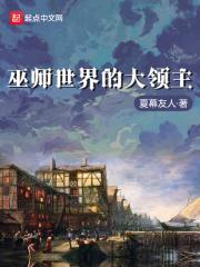 巫师世界的大领主封面