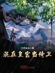 混在皇宫当侍卫封面