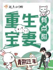 重生宝妻有点甜封面