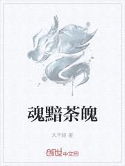 零度武戒封面