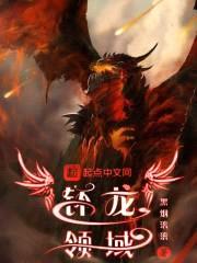 钚龙领域封面