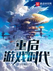 重启游戏时代封面