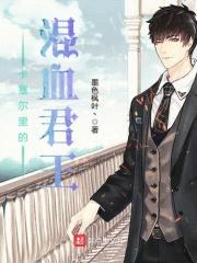 卡塞尔里的混血君王封面