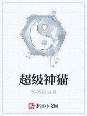 超级神猫封面