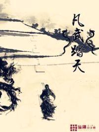 凡武踏天封面