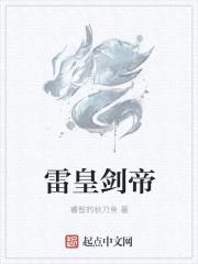雷皇剑帝封面