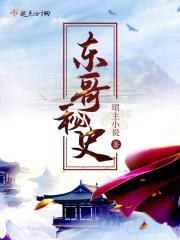 东哥秘史封面