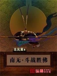 南无斗战胜佛封面