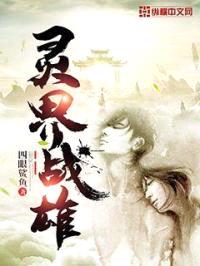 灵界战雄封面