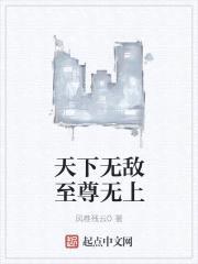 万能选择系统封面