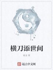 横刀添世间封面